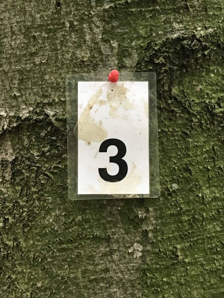 Eine Nummerntafel an einem Baum